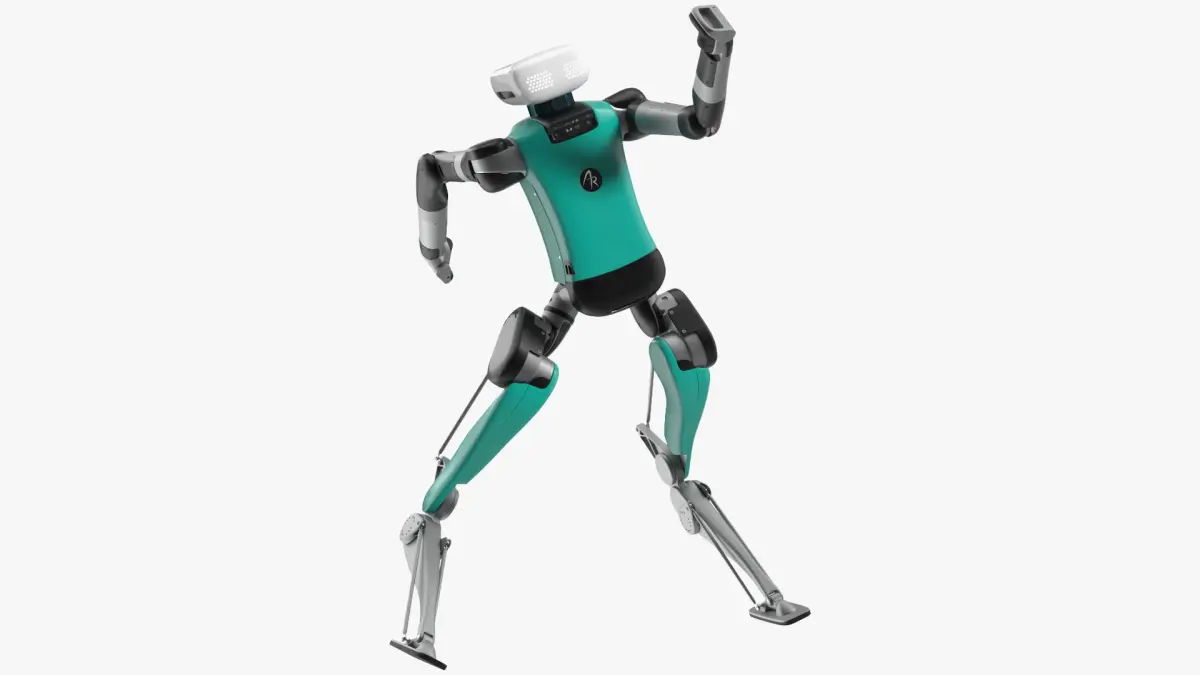 Digit Robot Rigged for Maya 3D model