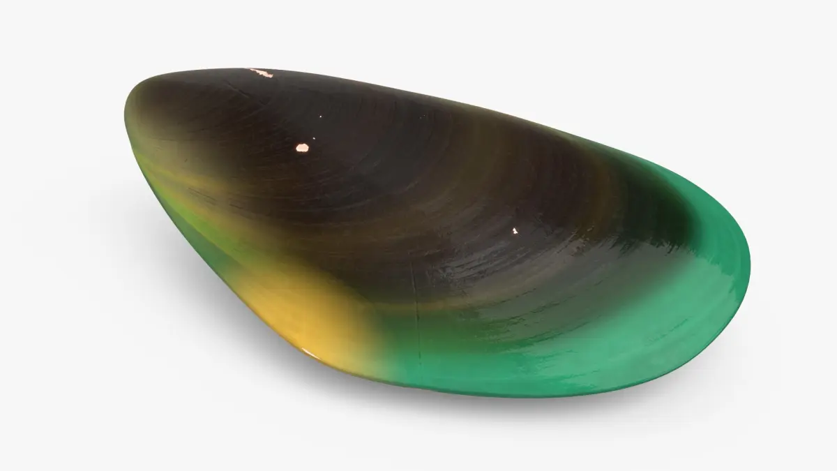 Closed Green Lipped Mussel Shell 3D model