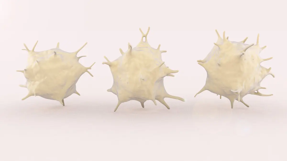Activated Platelets 3D model