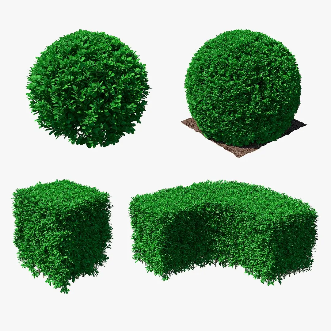 Decorative Shrubs Collection 3D model