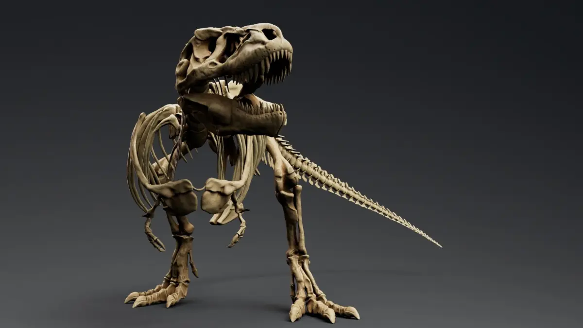 Dinosaur Trex Sue Skeleton Unreal Engine - Unity Projects 3D model