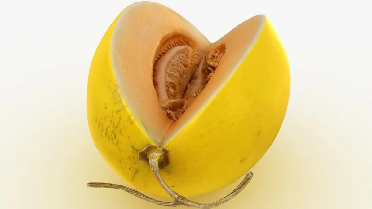 Golden&nbsp;Cantaloupe Cut 3D model