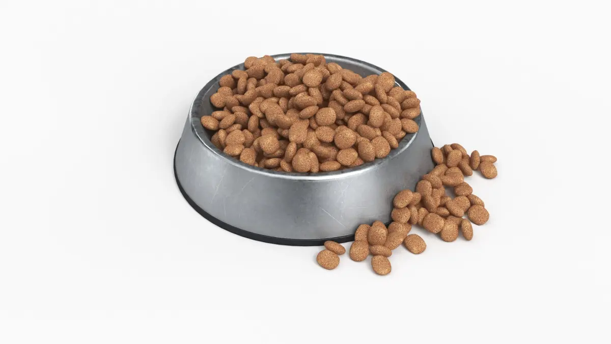 Pet Food Bowl Metal With Food 3D model