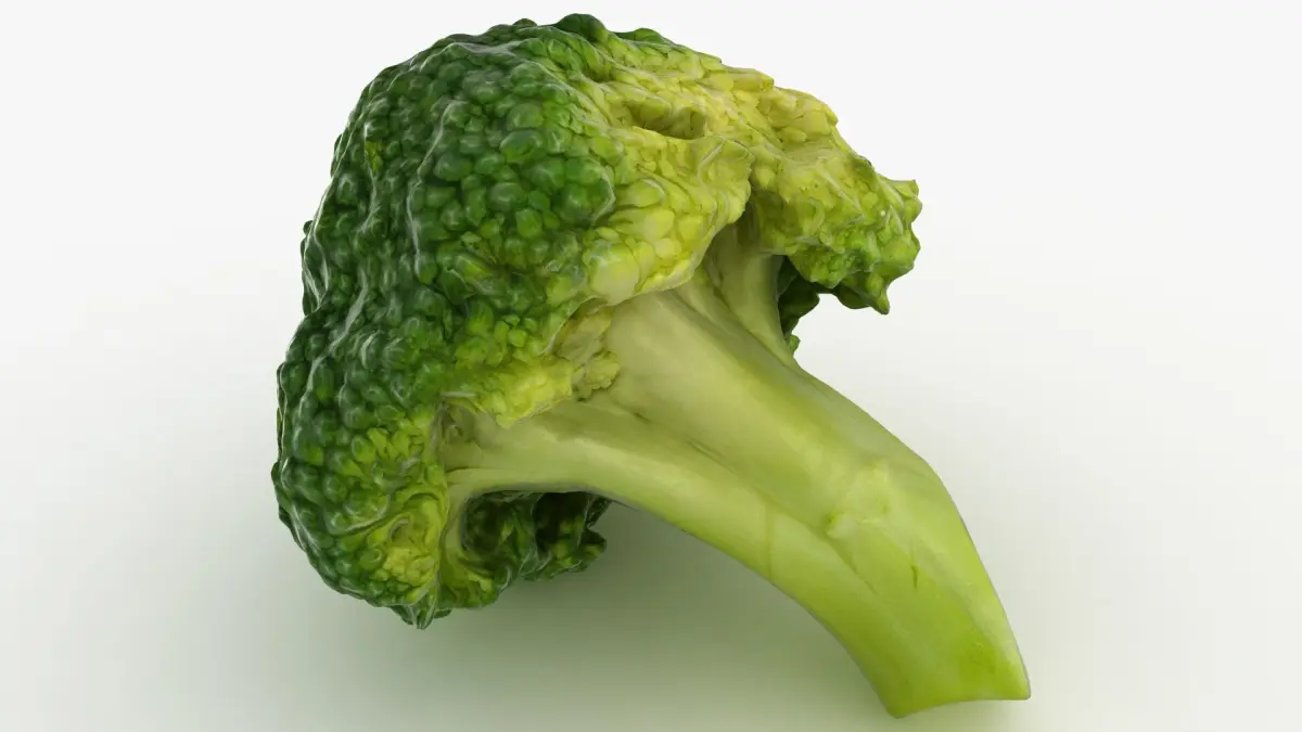 Broccoli Florets 02 3D model
