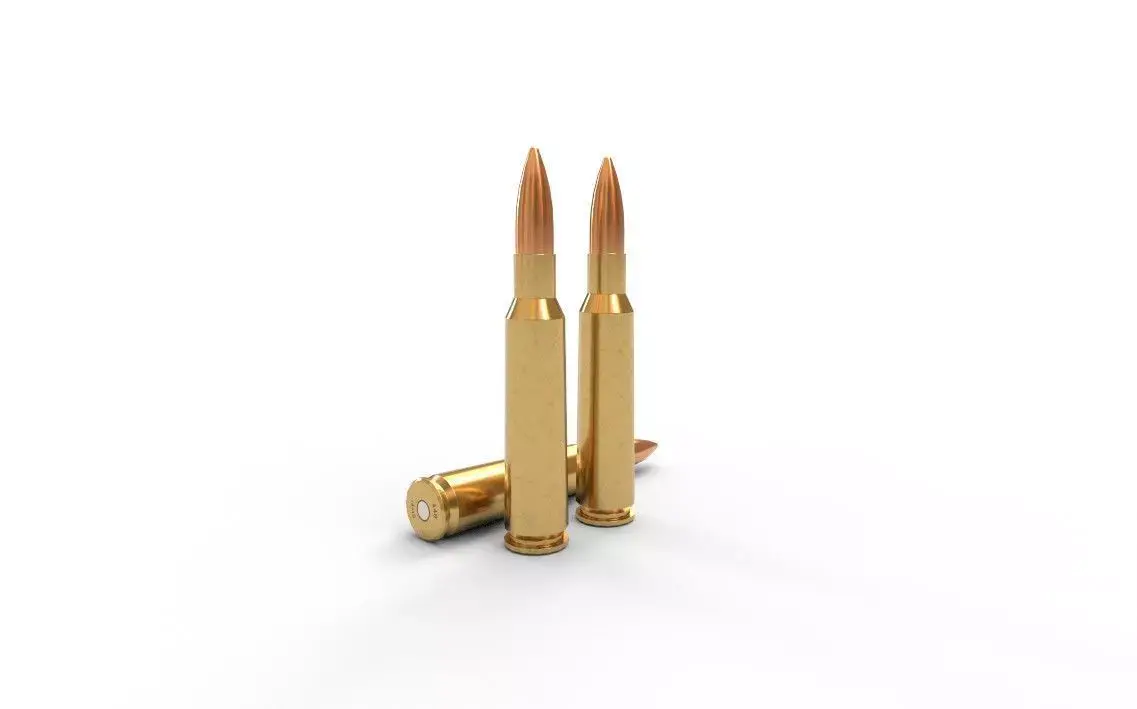 460 Steyr Ammo Low-poly 3D model