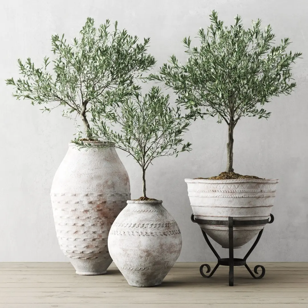 Olive European In Antique Vessels 3D model purchase