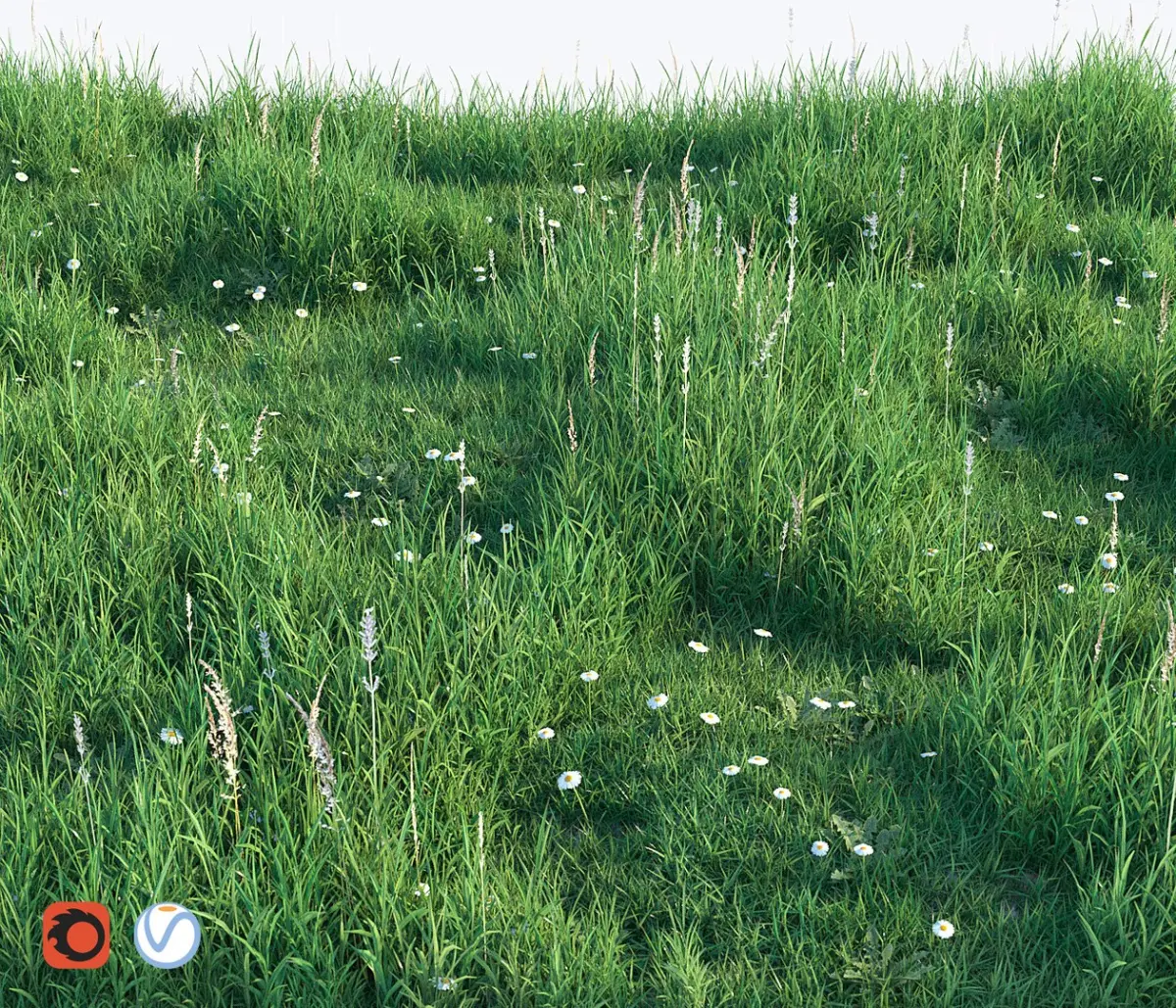 Grass set 3D model