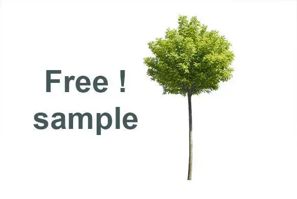 Free sample from my 25 Cutout Trees Collection Texture
