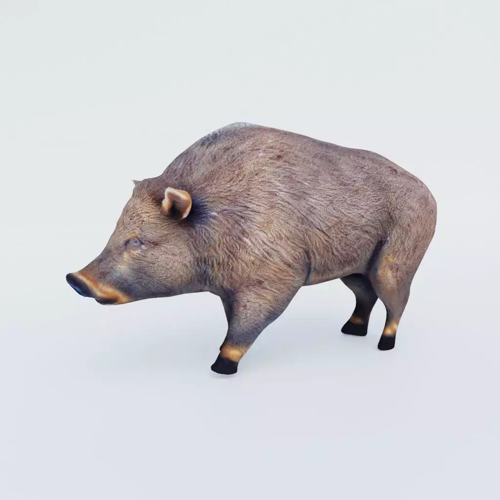 Boar Animal Free 3D model purchase