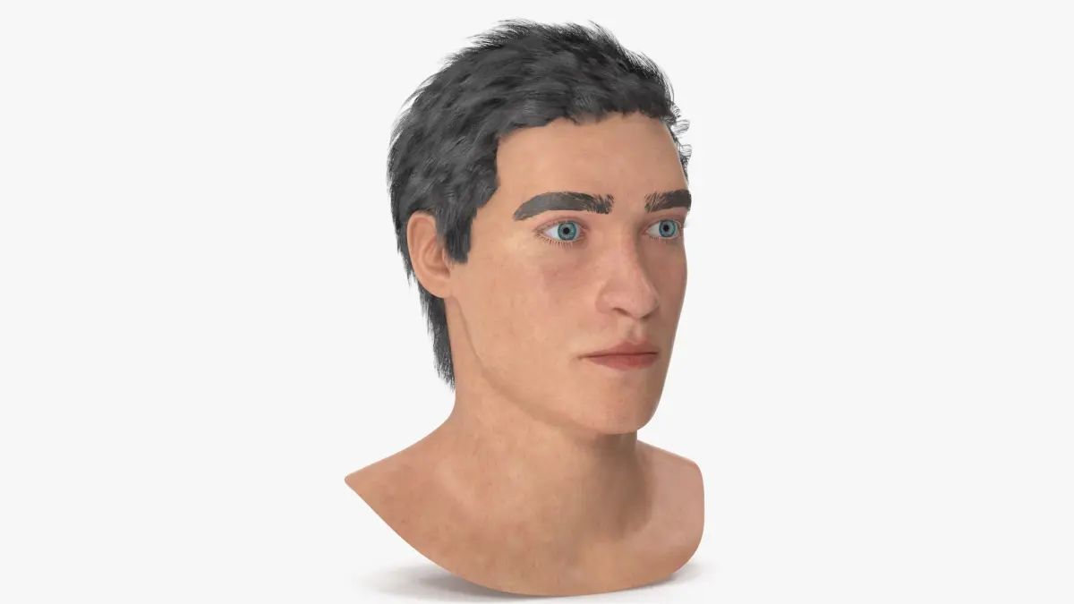 Male Head 3D model purchase