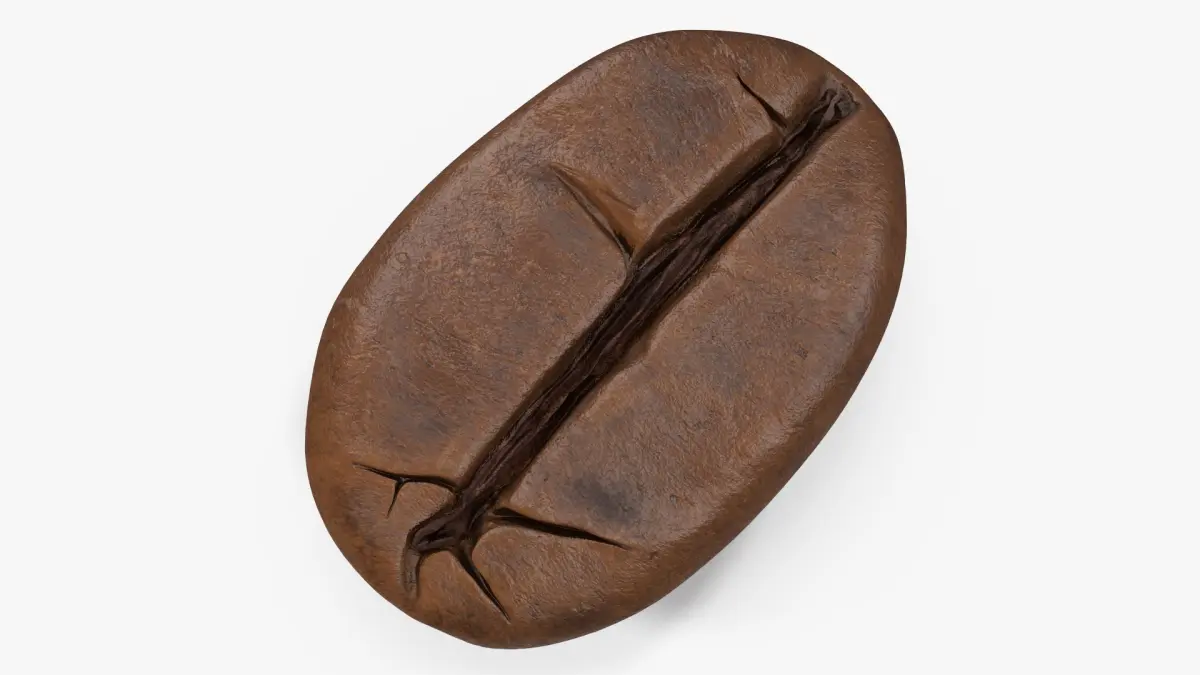 Coffee Bean Roasted 2 v 2 3D model