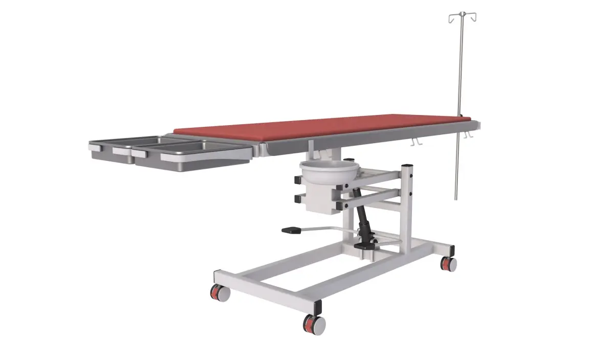 Veterinary Table 3D model