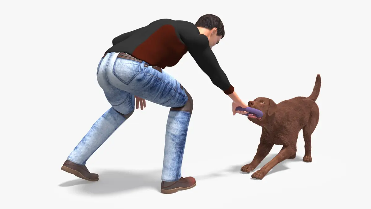 Dog Owner Playing with Labrador Fur 3D model