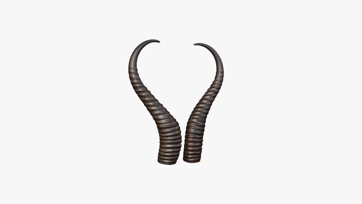Horn V3 3D model