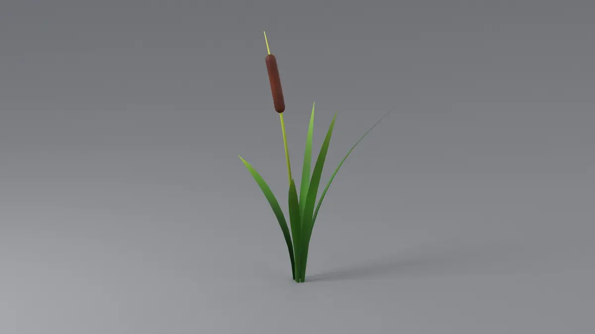 Cartoon Cattail 01 3D model
