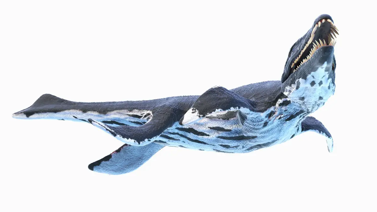 Liopleurodon Animated 3D model