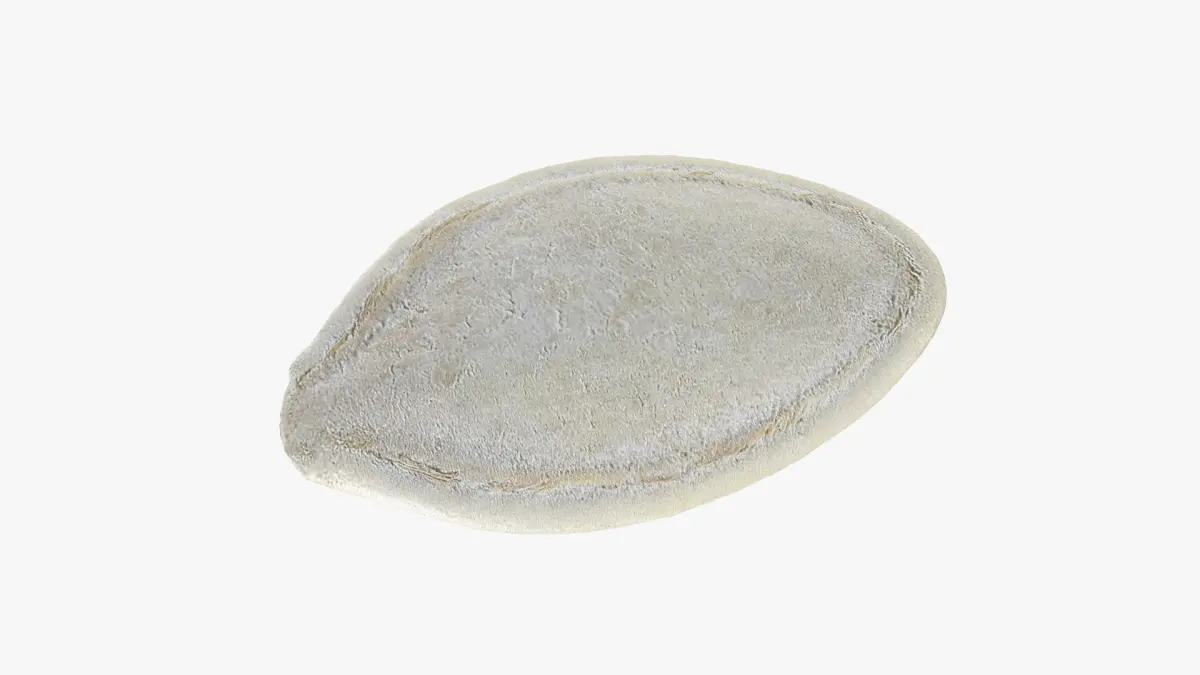 Pumpkin Seed 02 3D model