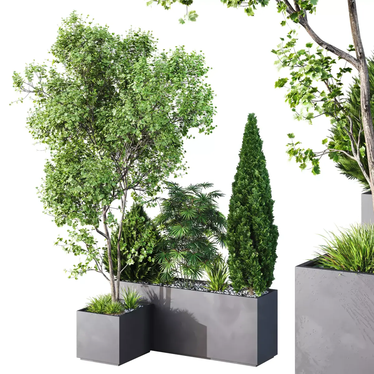 HQ Tree and bush garden box outdoor VOL 03 Free 3D model