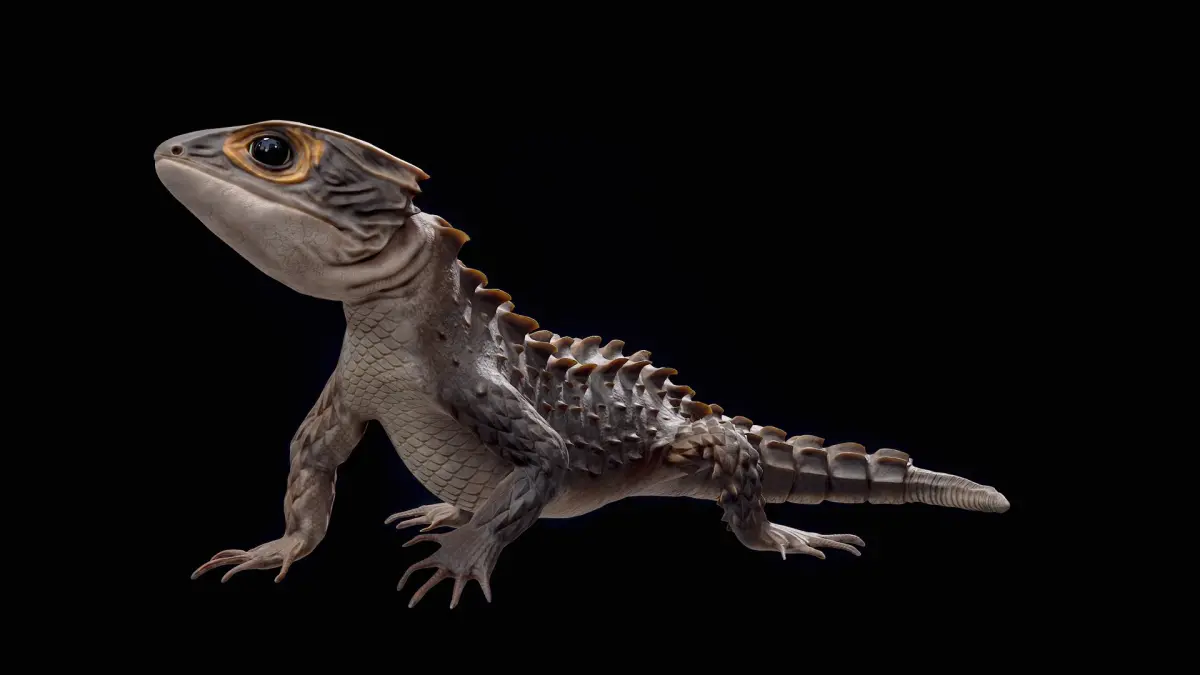 Crocodile Skink Lizard Rigged PBR 3D model
