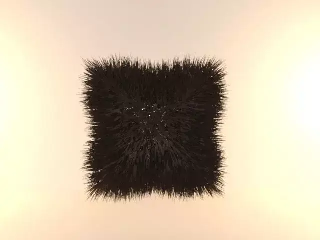 Cushion fur pillow Free 3D model