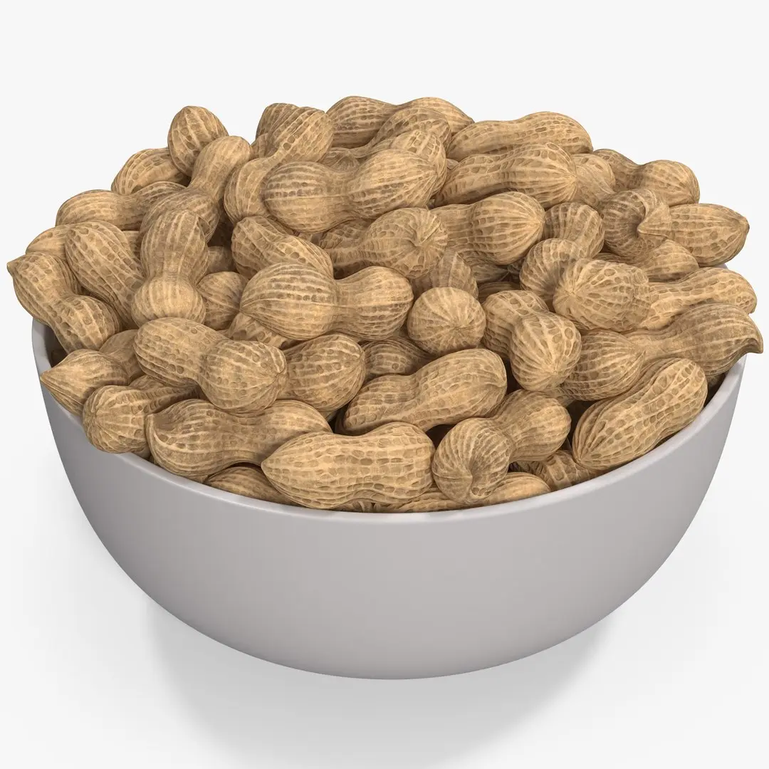 Peanuts 2 3D model