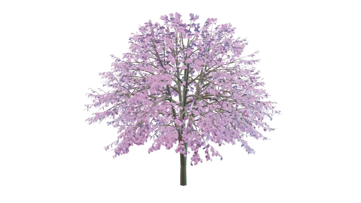 Cherry Tree Low Poly Free 3D model
