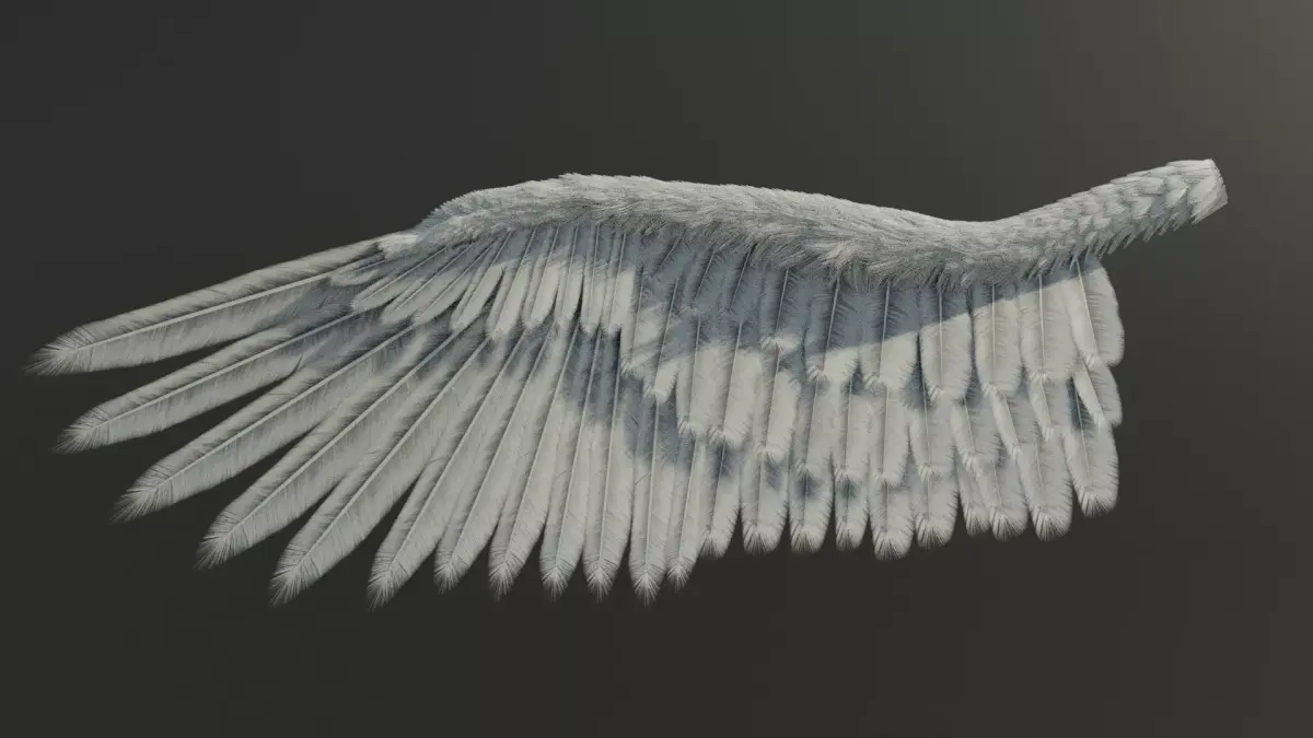 Wing Angels  Bird Low-poly 3D model purchase