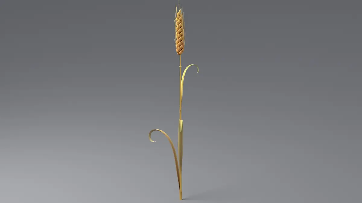 Cartoon Wheat Spikelet 03 3D model