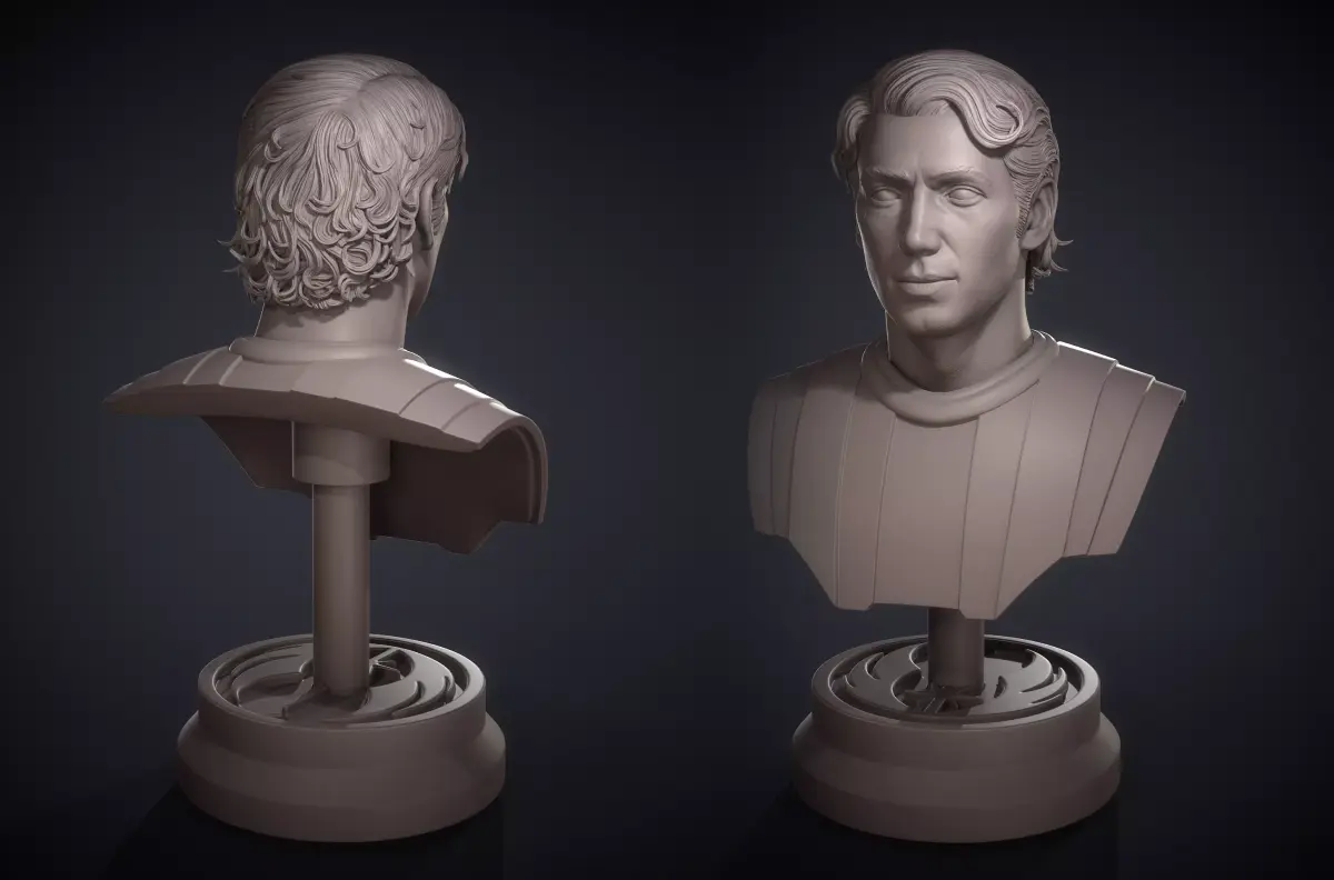 General Anakin Skywalker - Bust 3D print model purchase