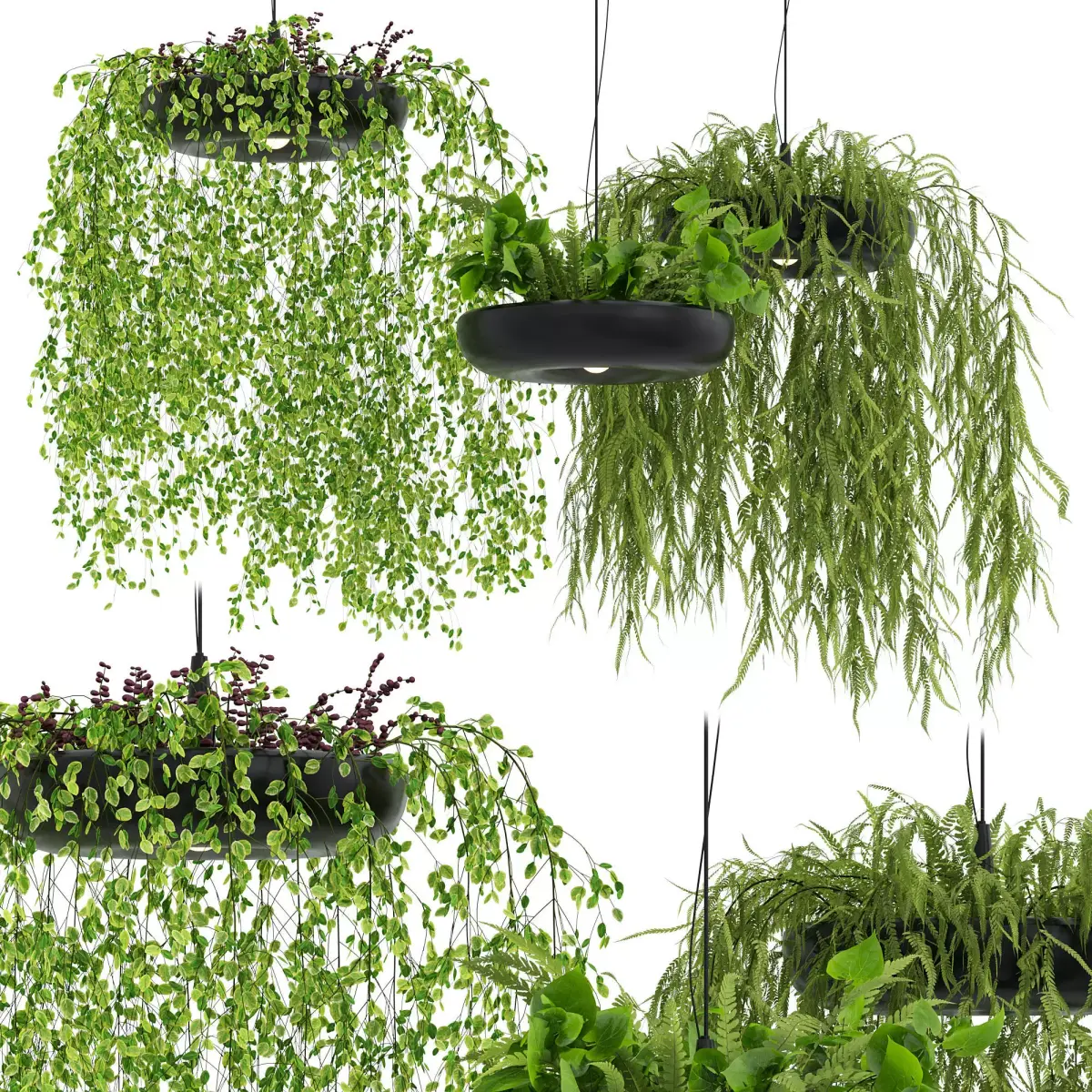 Indrid Decorative Plants Black Light By Lightmakers Free low-poly 3D model
