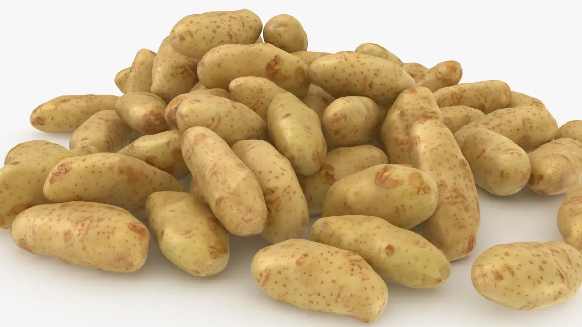 Potato Pile 3D model