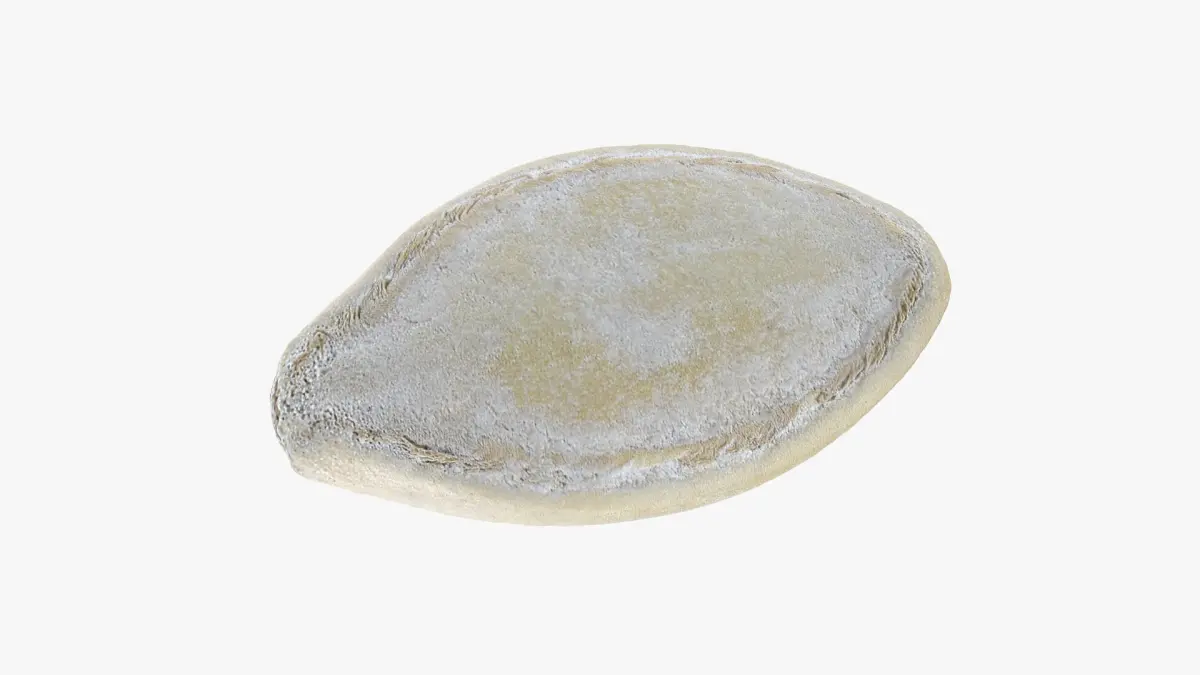 Pumpkin Seed 01 3D model