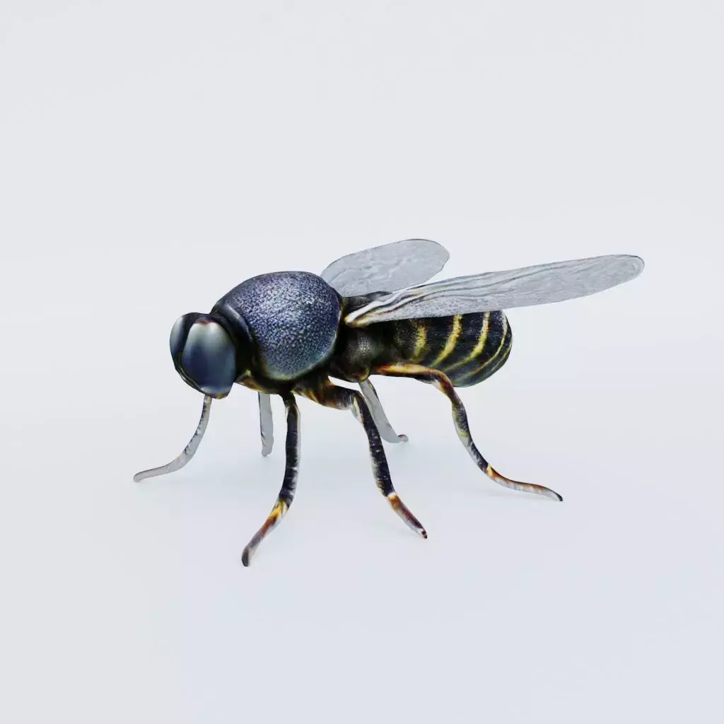 Fly Animal Free 3D model purchase