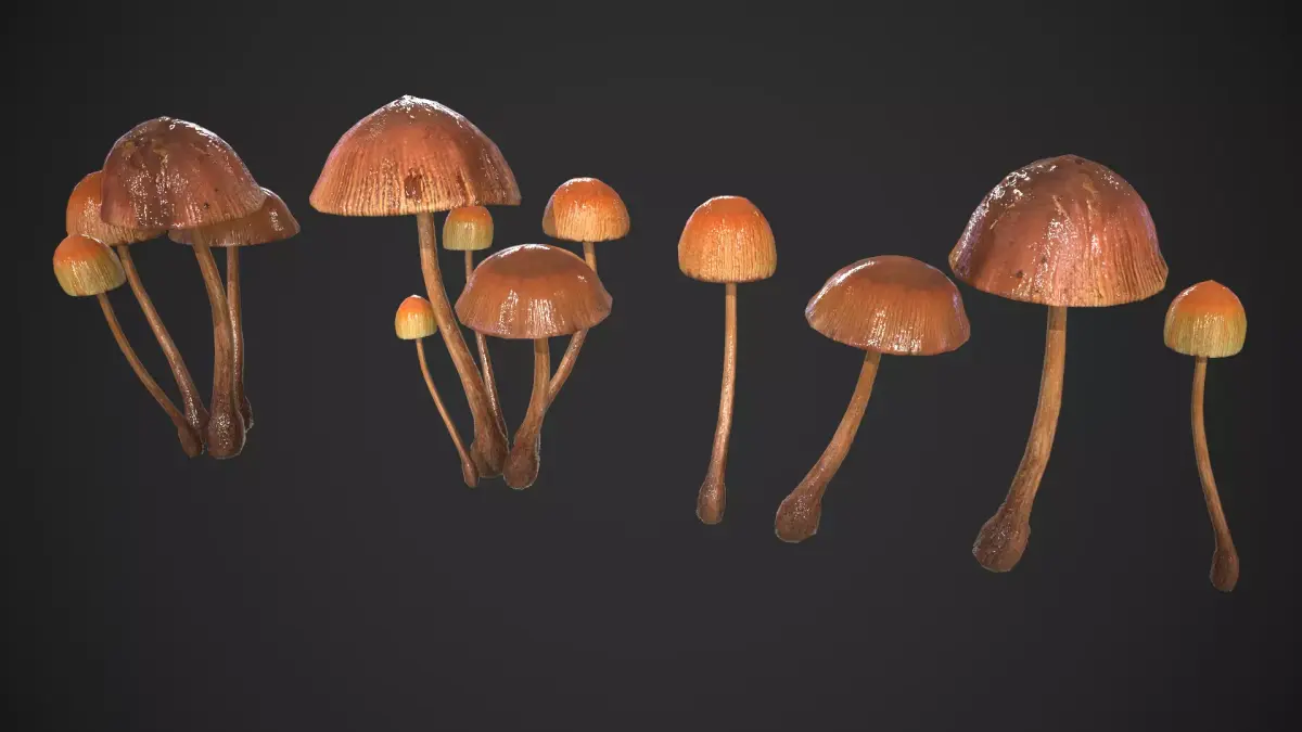Generic Mushrooms Low-poly 3D model