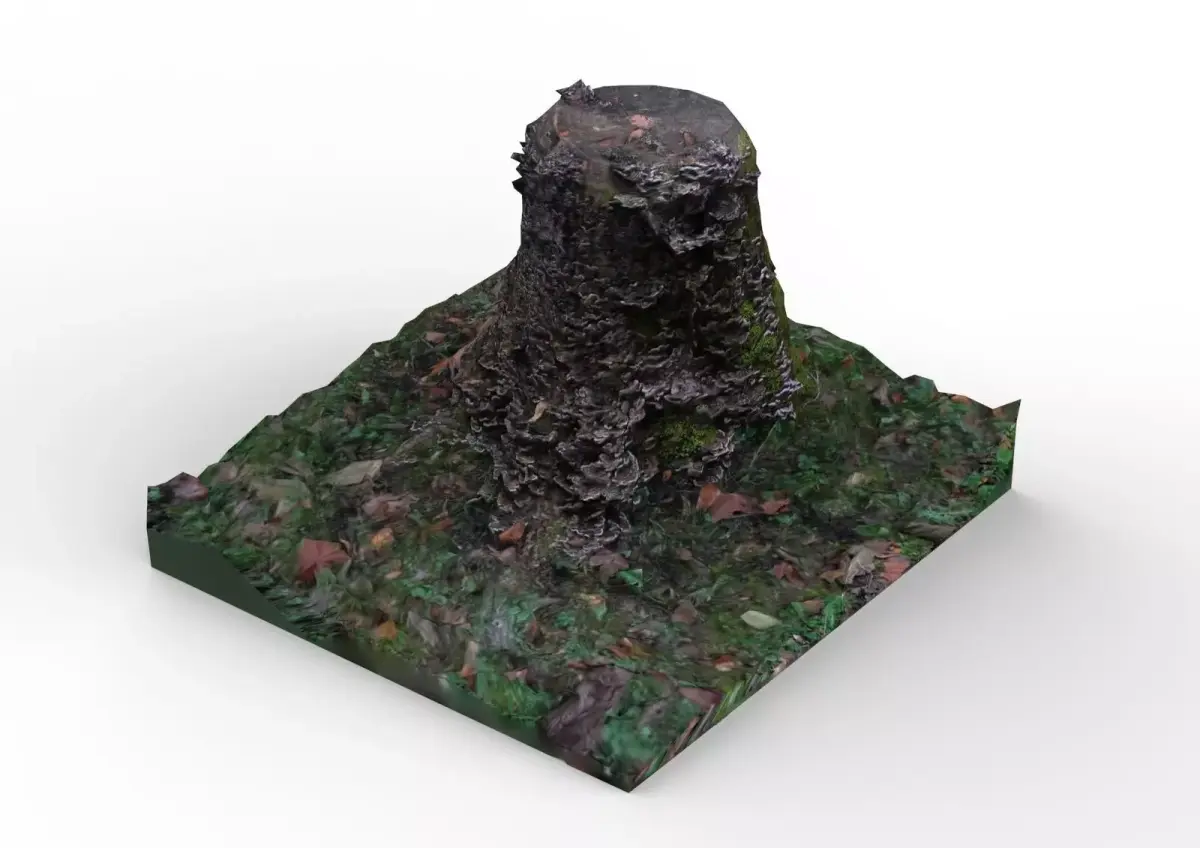 Tree trunk covered in mushrooms Free low-poly 3D model