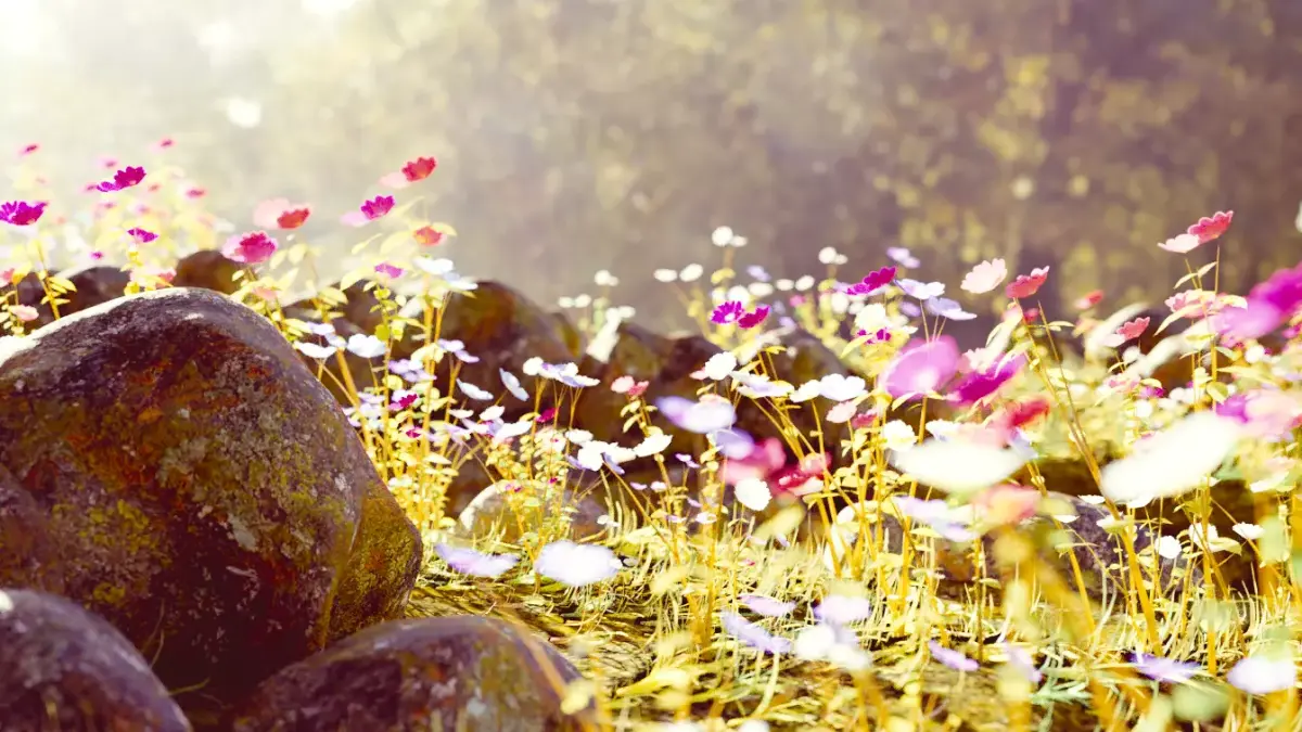 Flower plants Free 3D model
