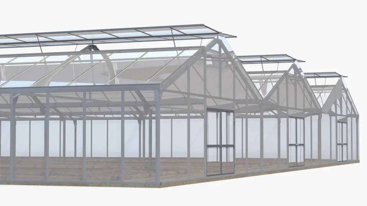 Multi-Span Greenhouse With Soil Beds 3D model