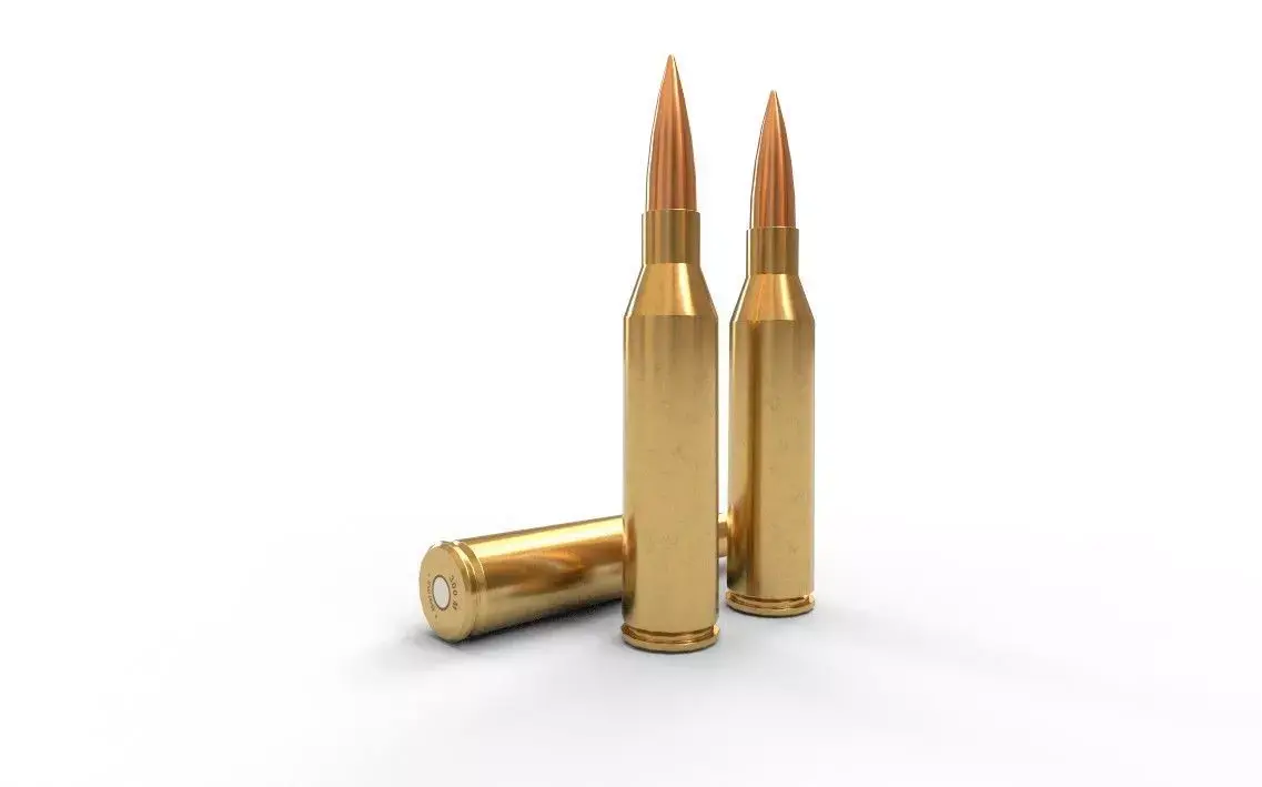 300 Norma Magnum Ammo Low-poly 3D model