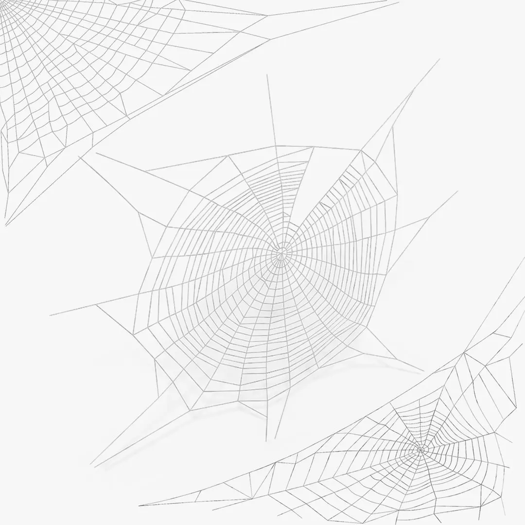 Spider Webs Collection 3D model