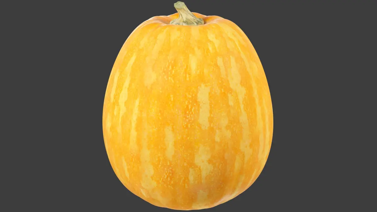 Pumpkin V4 3D model