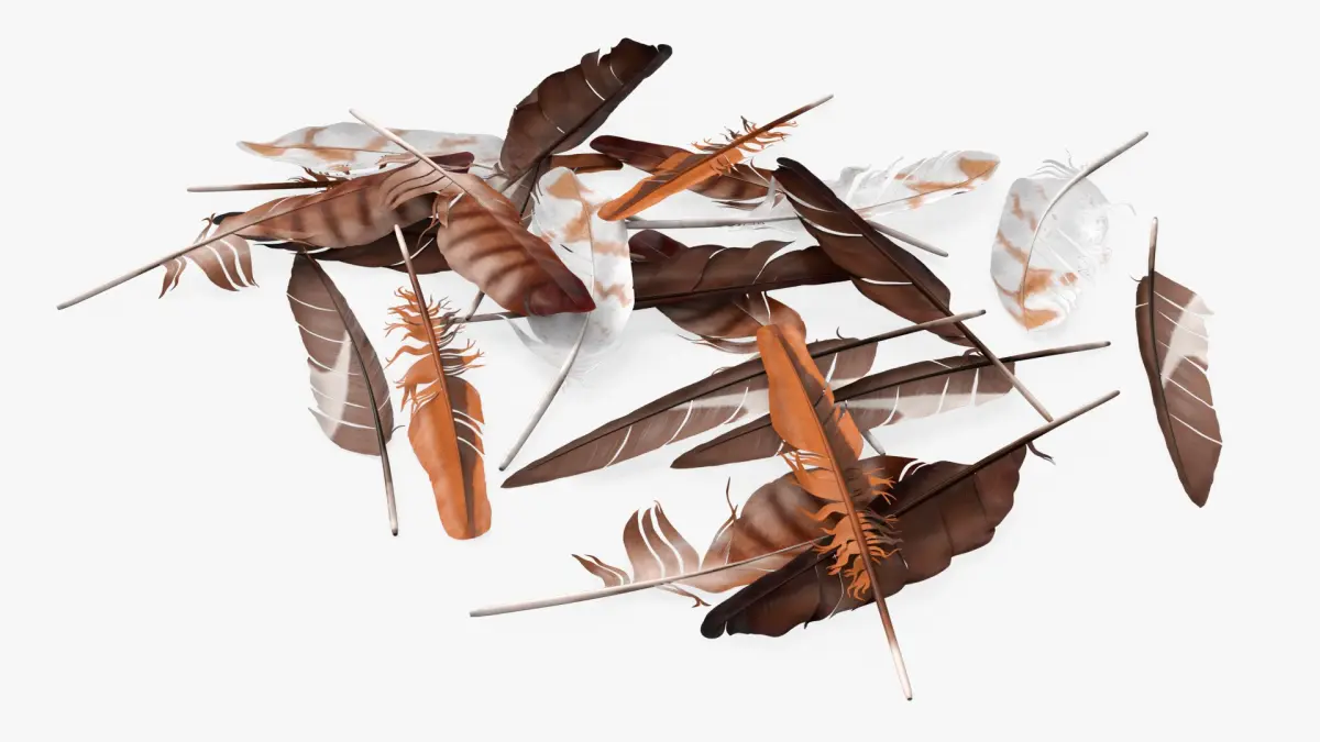 Mixed Bird Feathers Pile Multicolor 3D model