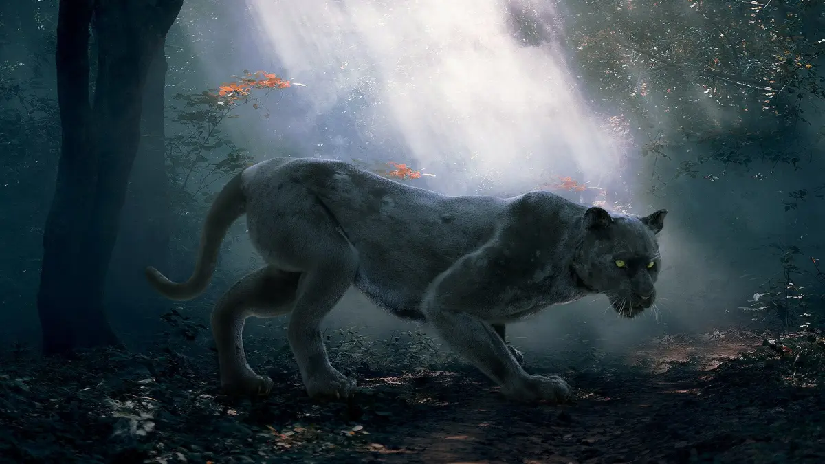 Panther Fur (Rigged) 3D model