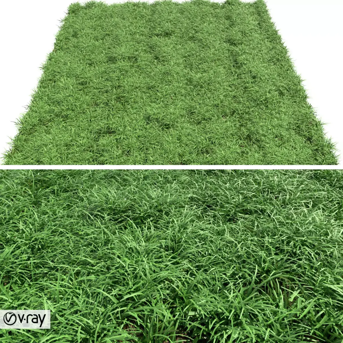 Green lawn Free 3D model
