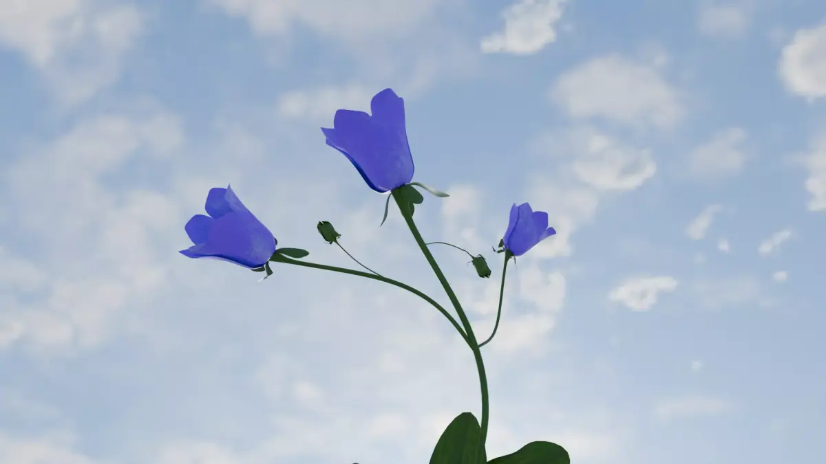 CanterburyBell flower 3D print model