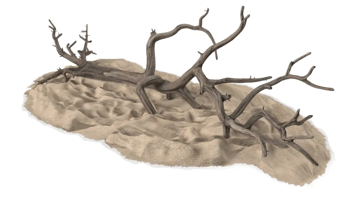 Dry Old Tree on Dune Surface 3D model