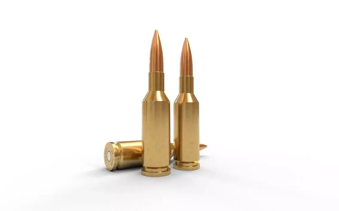 22 PPC Ammo Low-poly 3D model
