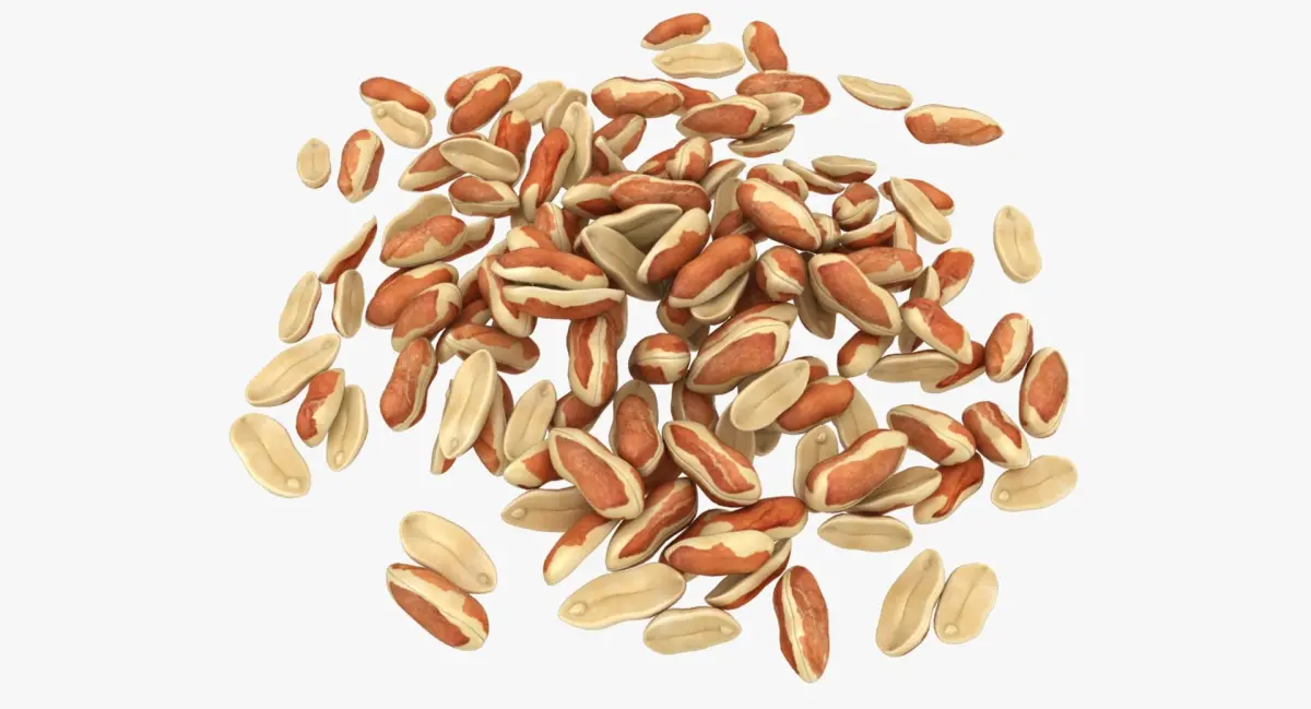 Peanut with Peel Pile 3D model