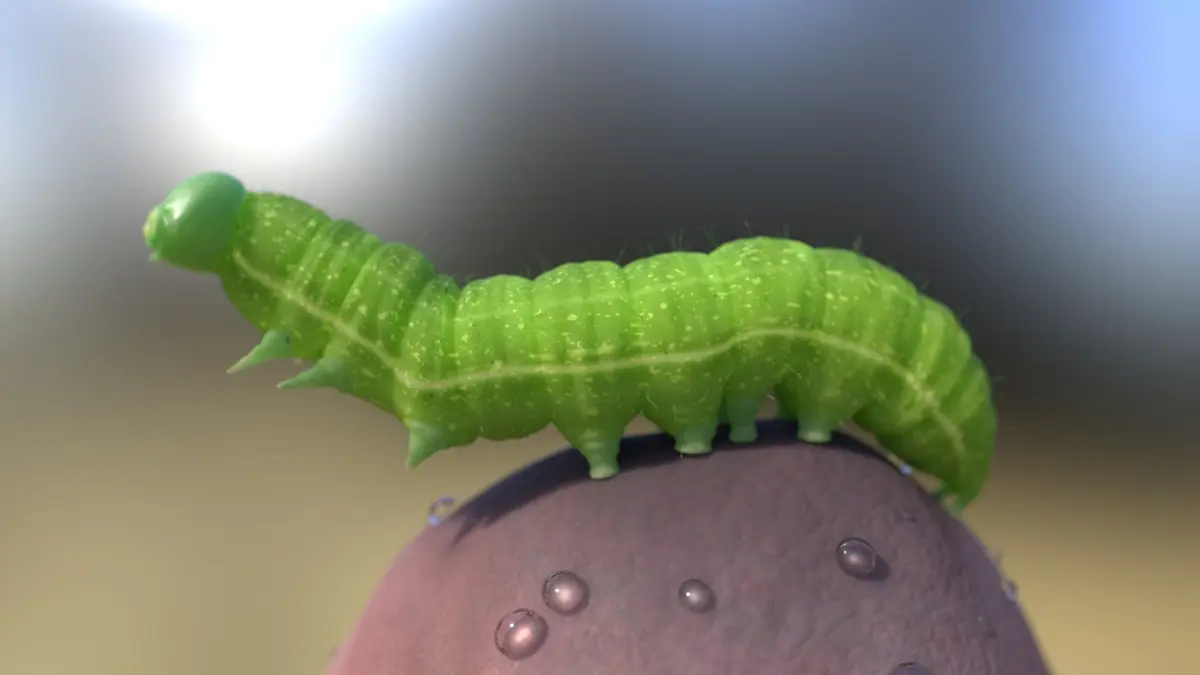 Caterpillar insect rigged 3D model