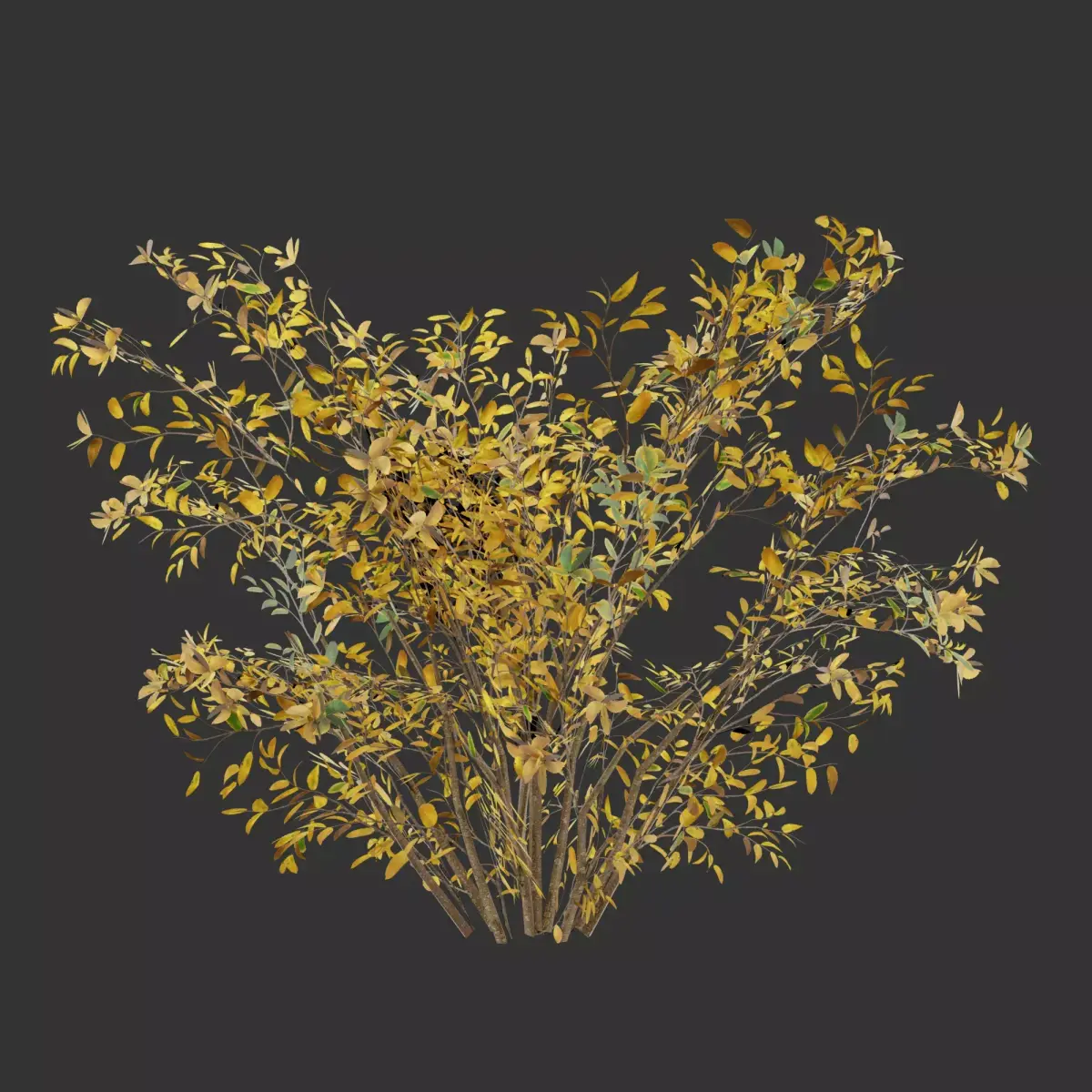 Simple Autumn Bush Game Ready Free 3D model
