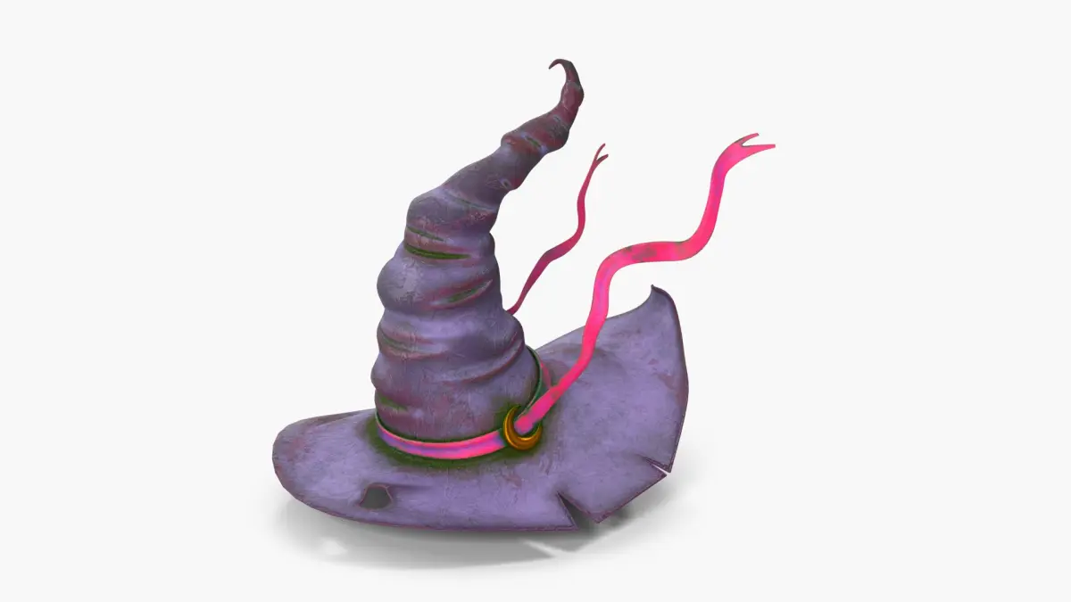 Witch Hat 3D model purchase